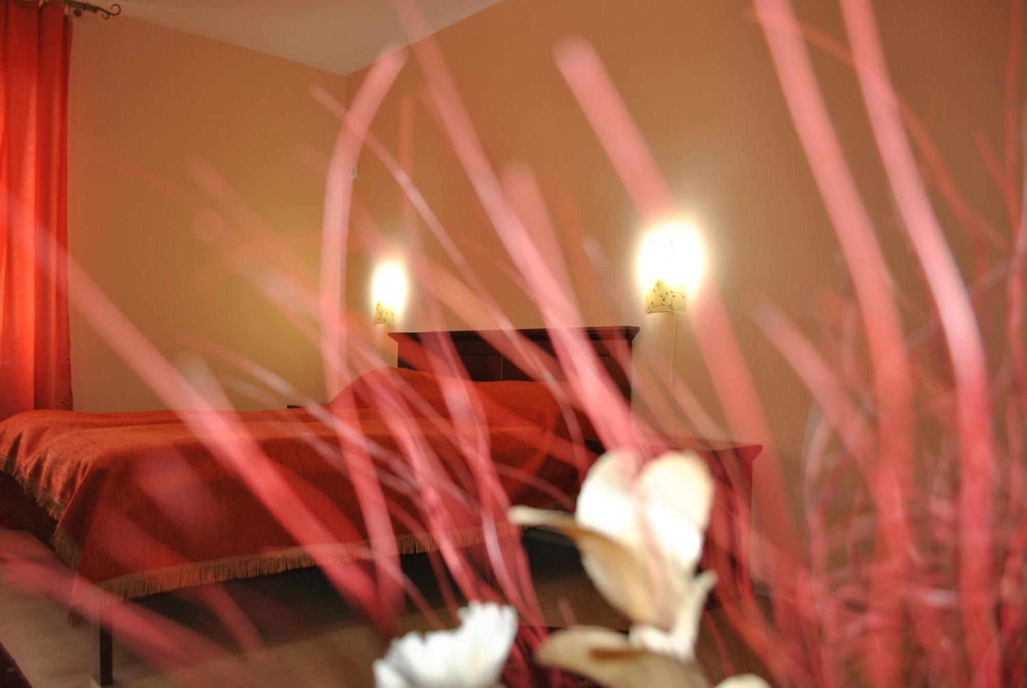 Vila Veche Haţeg Habitación foto