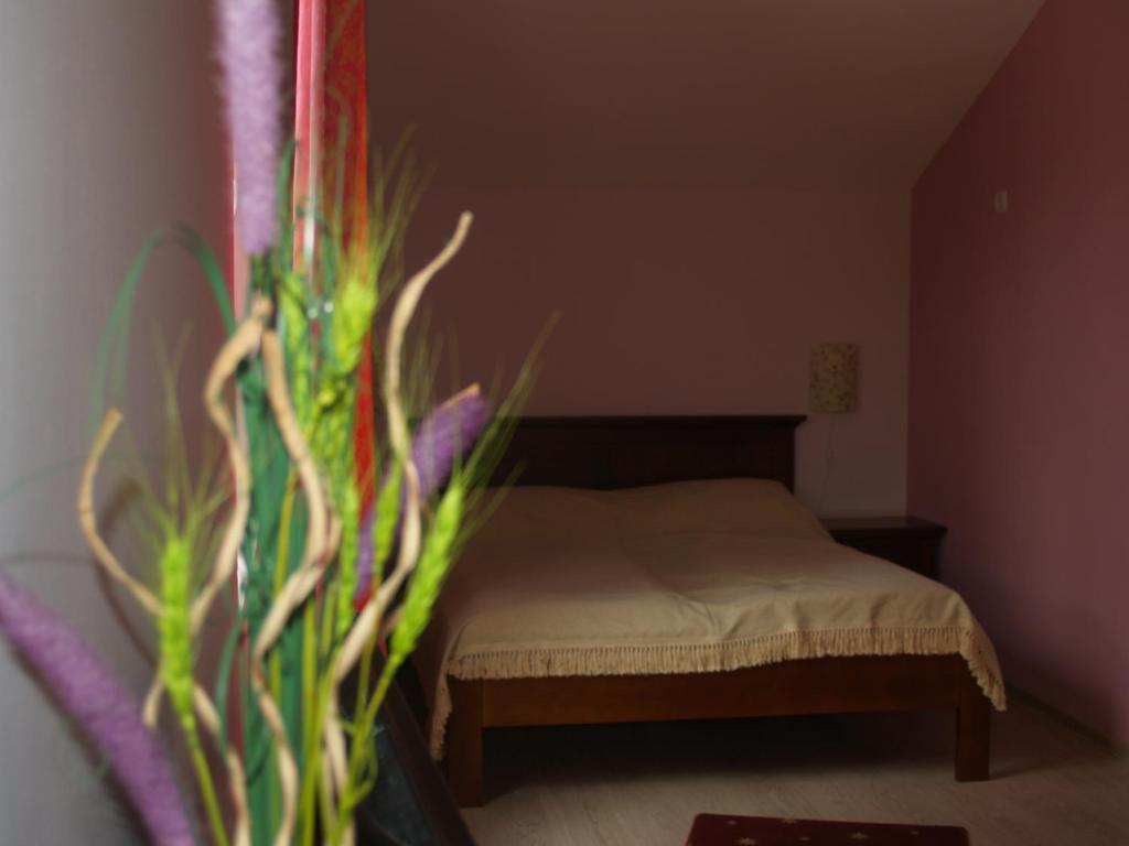 Vila Veche Haţeg Habitación foto